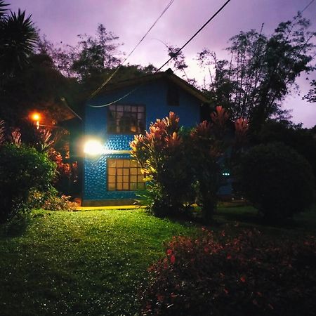 El Colibri Azul Villa Quito Bagian luar foto